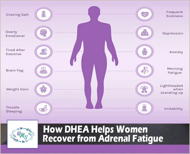 How DHEA Helps a Woman Recover from Adrenal Fatigue!