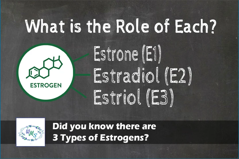 Did you Know there are 3 Types of Estrogens?