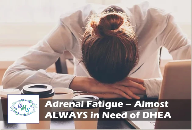 Adrenal Fatigue – Almost ALWAYS in Need of DHEA