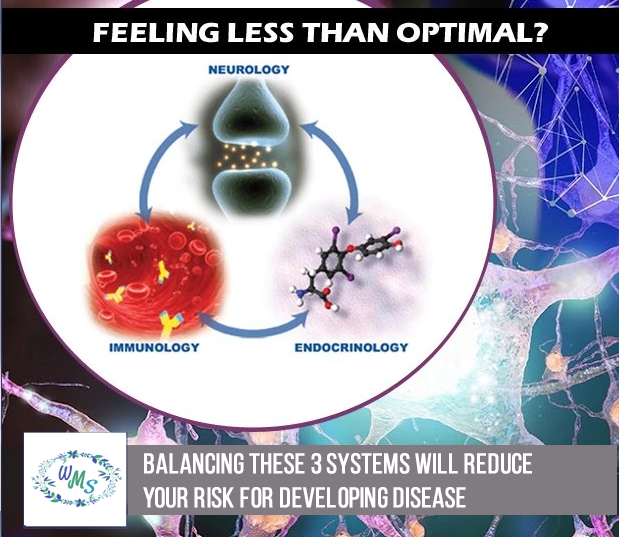 Balancing These 3 Systems will REDUCE YOUR RISK for Developing DISEASE