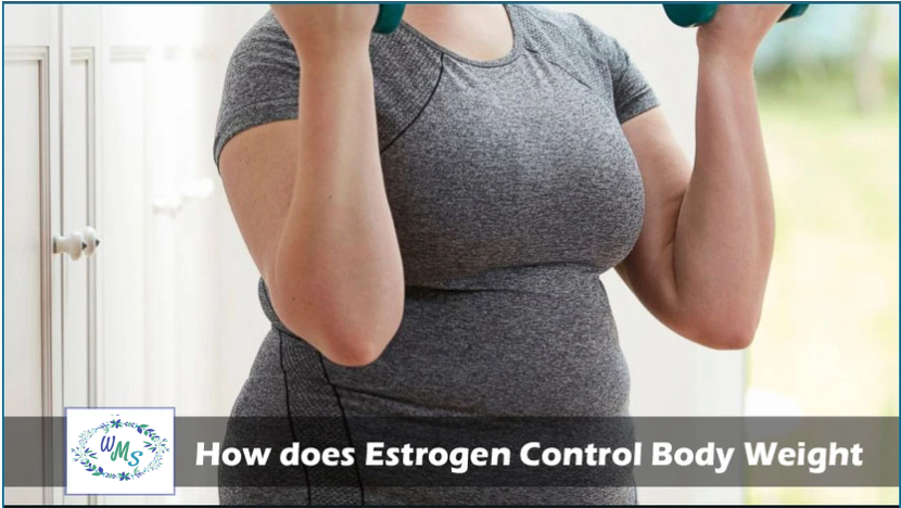 How does Estrogen help Control Body Weight?
