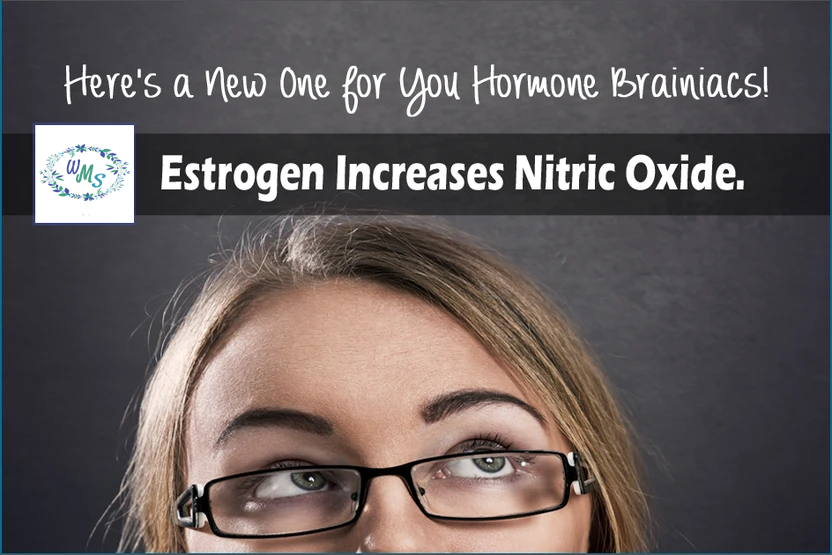 Estrogen Increases Nitric Oxide! Learn For Hormone Brainiacs