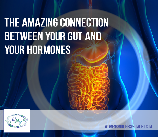 The Amazing Connection Between Your GUT and Your Hormones