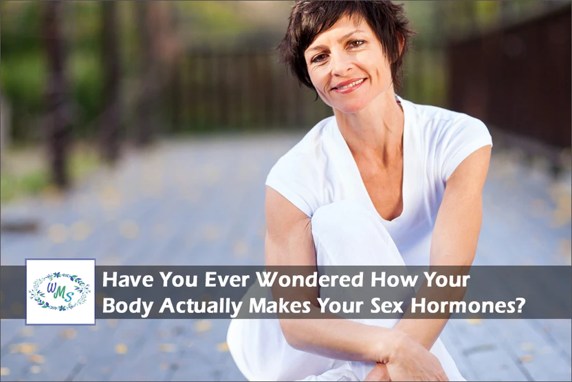 Have You Ever Wondered How Your Body Actually Makes Your Sex Hormones?