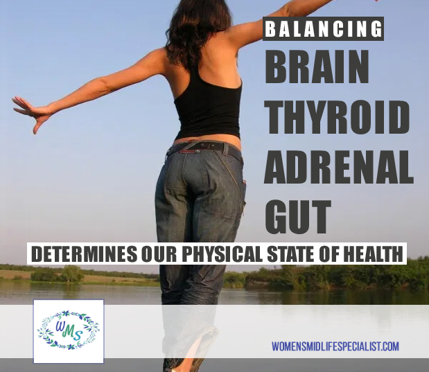 BRAIN, THYROID, ADRENAL, and GUT HORMONES determine our Physical State of Health!