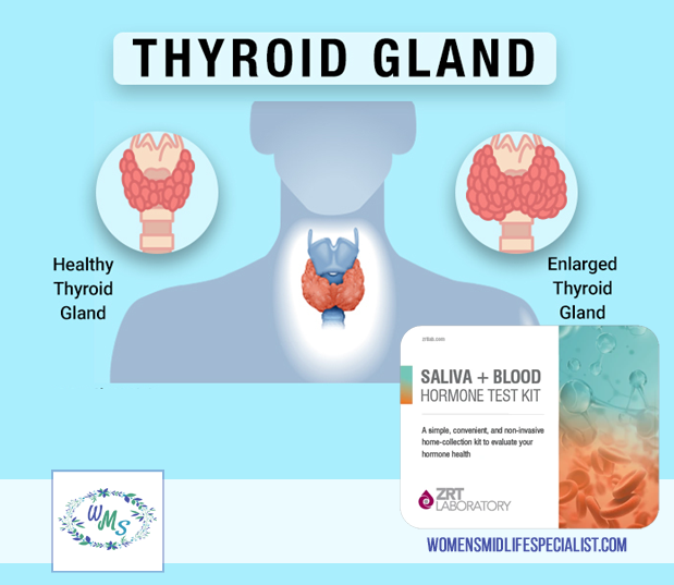 What you Really Need to Know About your Thyroid Testing