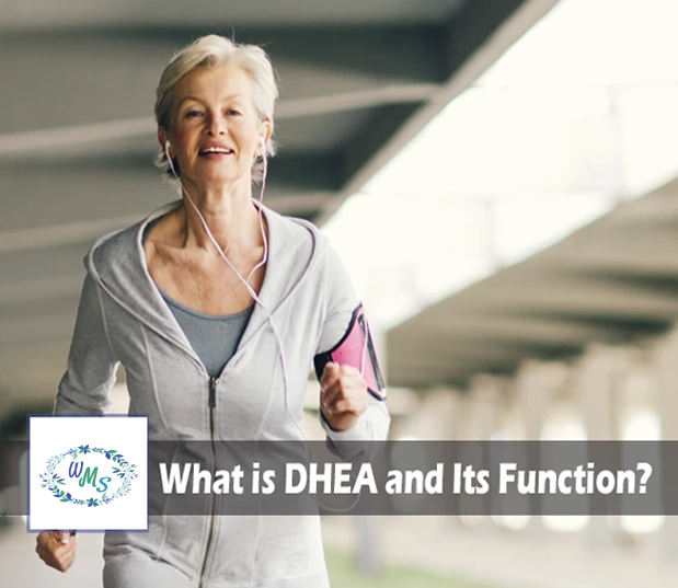 What is DHEA and Its Function?