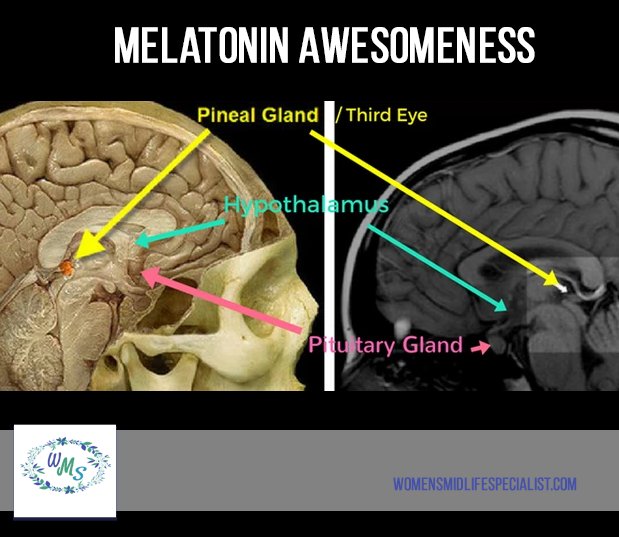 Fascinating Tidbits to Discover about Melatonin
