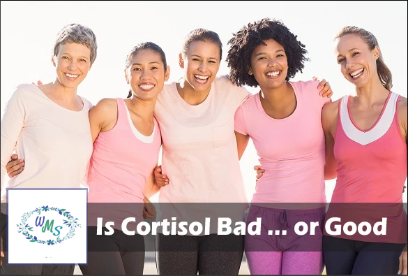 Is Cortisol Bad ... or Good? Learn More Here ...