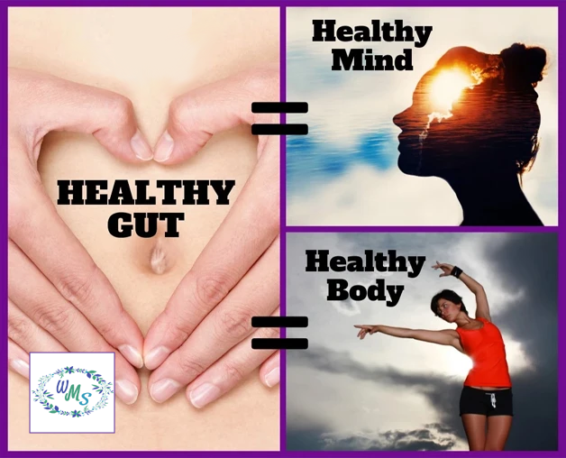 A Healthy GUT is CRITICAL to Your OVERALL Health!
